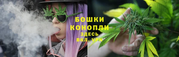 ПСИЛОЦИБИНОВЫЕ ГРИБЫ Майский